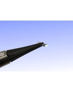 Extended Right-Angle Microprisms, Two-Photon Endoscopic Imaging, Protected-Aluminum Coated Hypotenuse