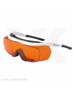 YL-780 Model (Low-Bridge, Anti-Fog, Over Prescription Glasses Type)